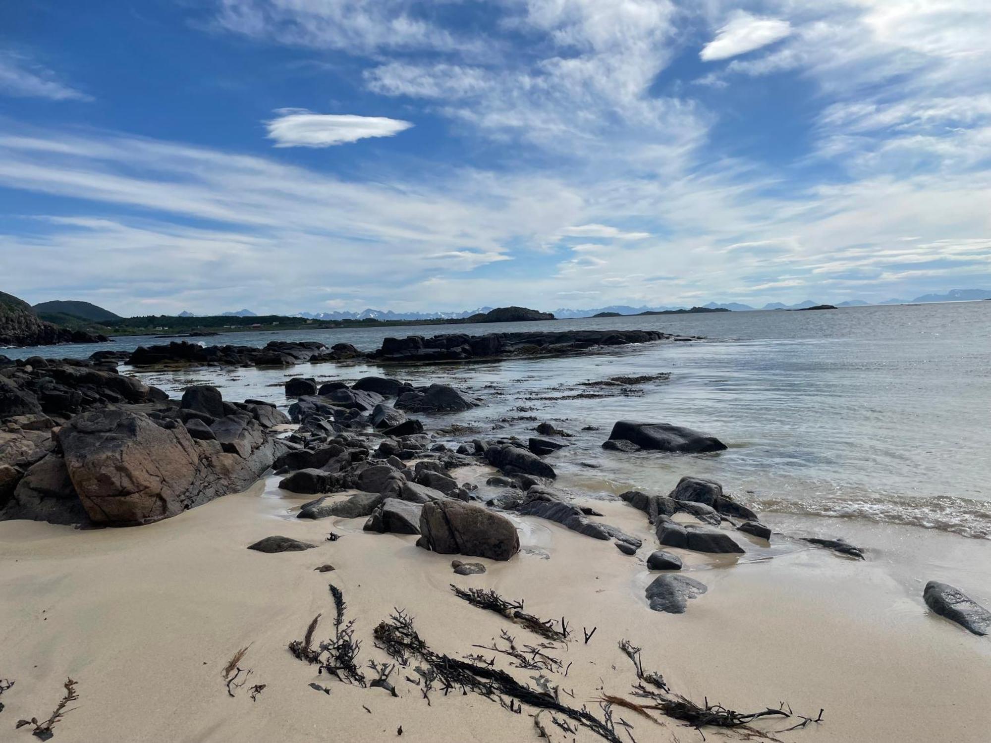 Отель Gjest Huset Boveien 468 Bo (Nordland) Экстерьер фото